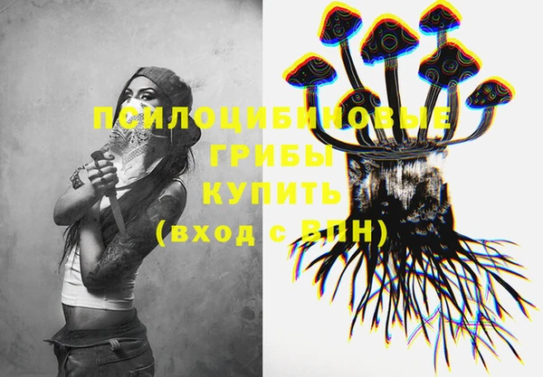 гашик Осинники